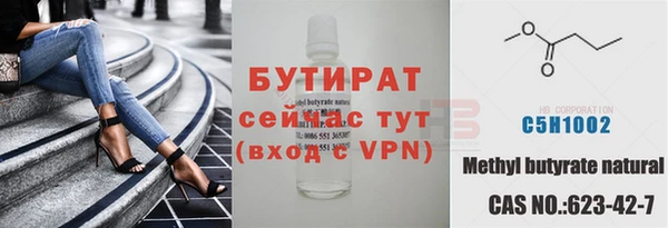 шишки Карпинск