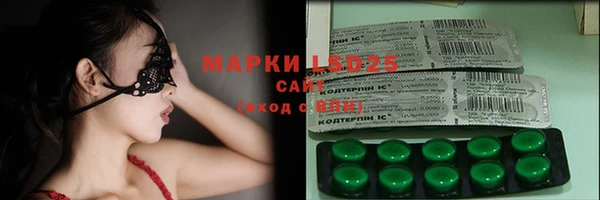 дживик Касимов