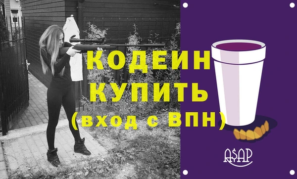 шишки Карпинск