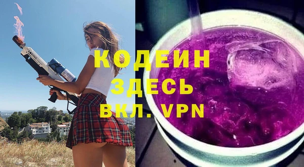 шишки Карпинск