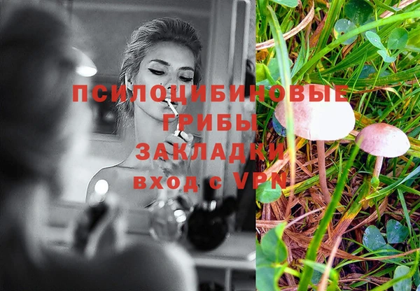 дживик Касимов