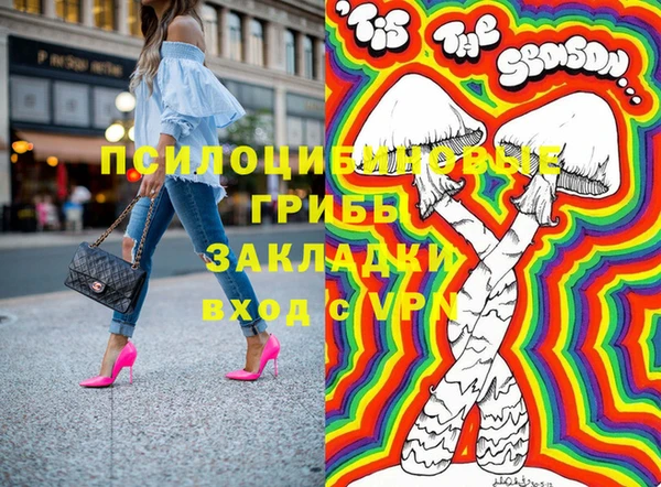 шишки Карпинск