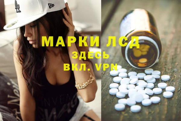 дживик Касимов