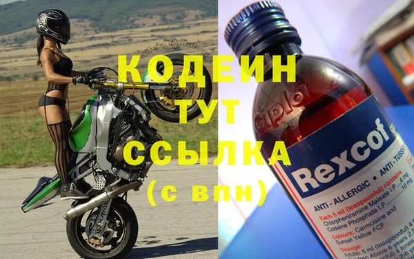 шишки Карпинск
