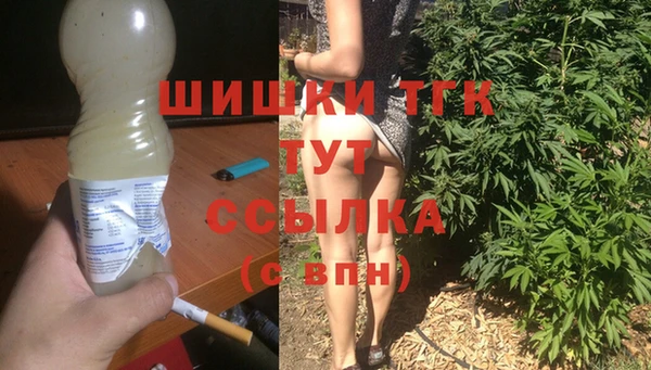шишки Карпинск