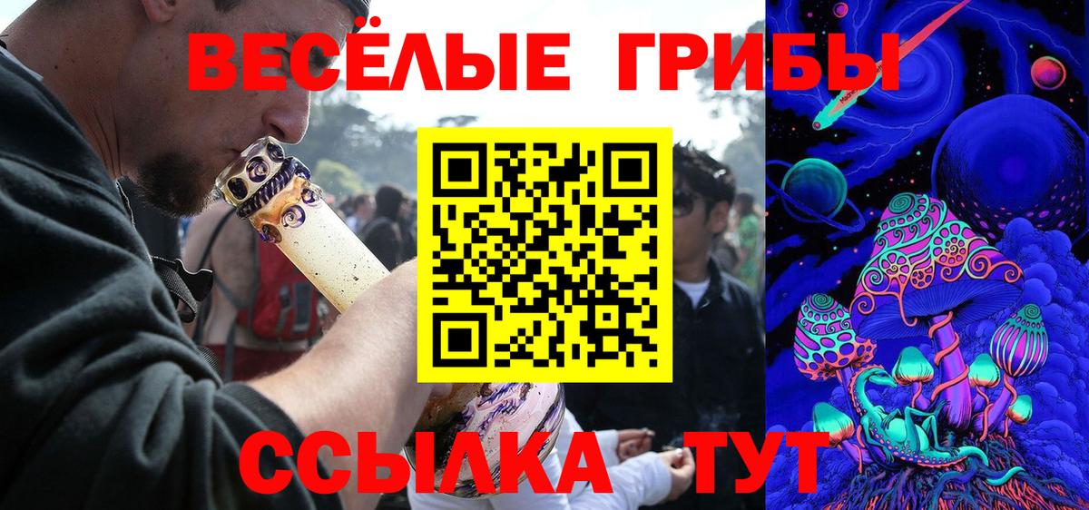 Кировск  Псилоцибиновые грибы Cubensis  Вход с VPN 